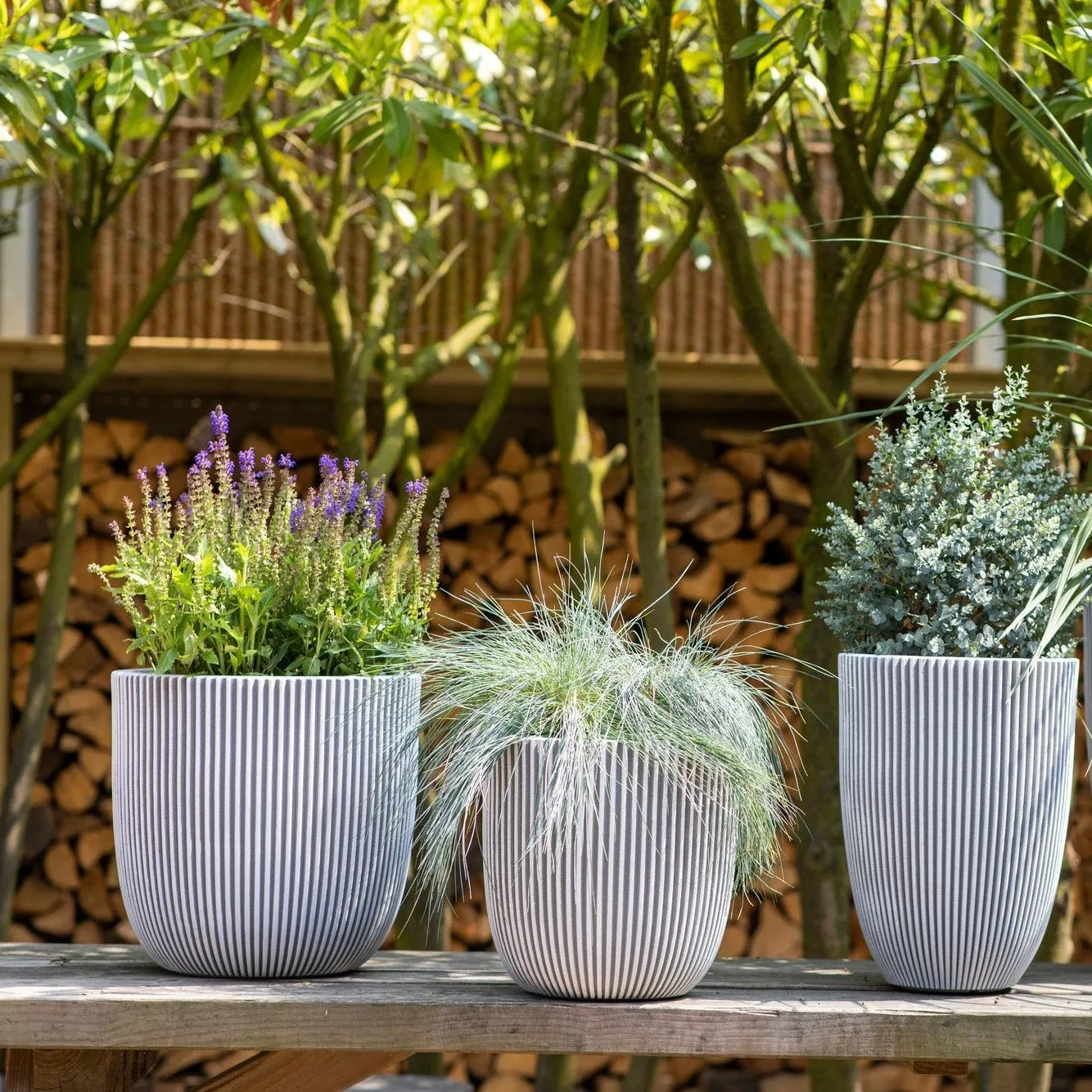 Cavern Ivory Vase Planter