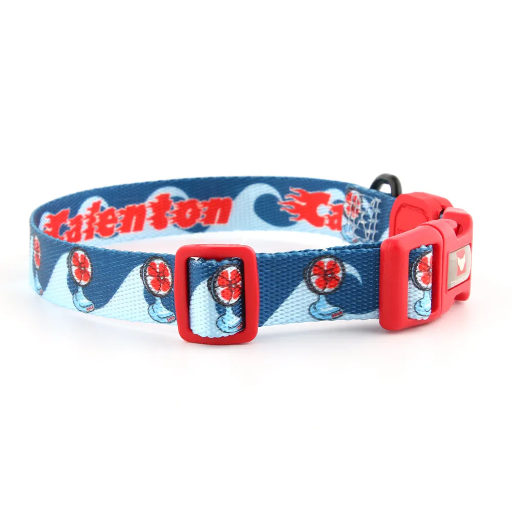 Expressions Dog Collar | Baja Pal Calenton